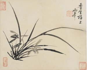 Landskaber, blomster og fugle: Orchid, Qing-dynastiet, 1780 (blæk på papir)